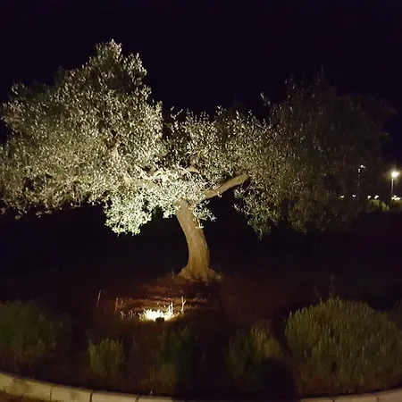 Villa Sessa *