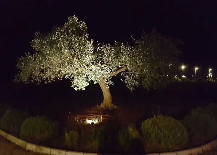 Villa Sessa *