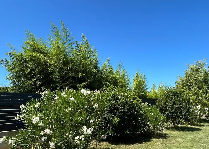 Sessa * Ровинь