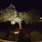 Villa Sessa *